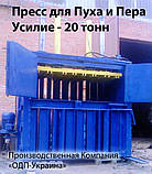 Гідравлічний прес для Пух-Пера 20 тонн, фото 2