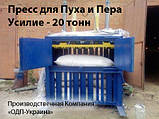 Гідравлічний прес для Пух-Пера 20 тонн, фото 3