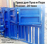 Гідравлічний прес для Пух-Пера 20 тонн, фото 5